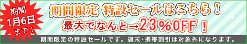 特設限定セールへ