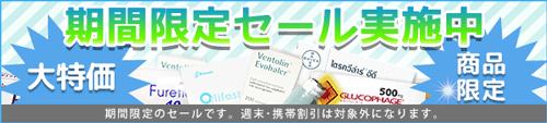 セール会場はコチラ!