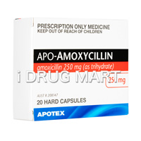 APO-ALVV̉摜