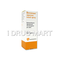 ベコナーゼ（鼻用ステロイド剤）の画像1