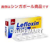 Lefloxin100mg(レフロキシン100mg)の画像1