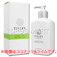 (Tilley)nh&{fB[V̉摜